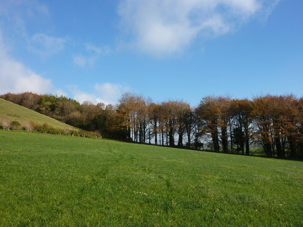 Ansty  Higher Melcombe Manor מראה חיצוני תמונה