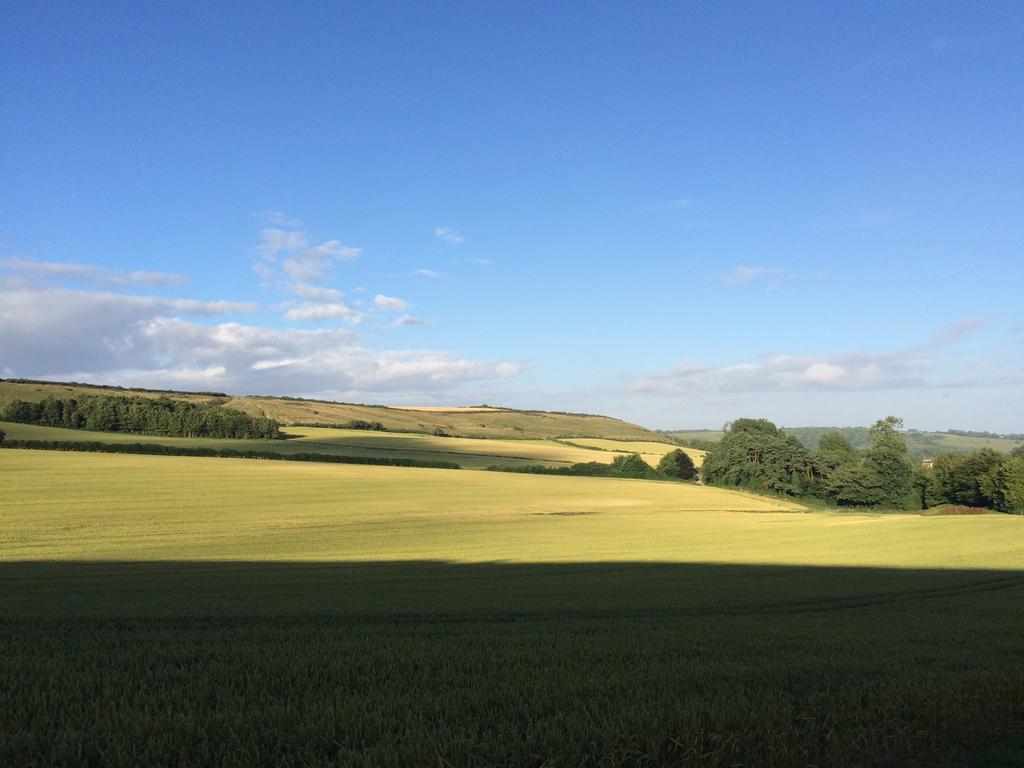Ansty  Higher Melcombe Manor מראה חיצוני תמונה