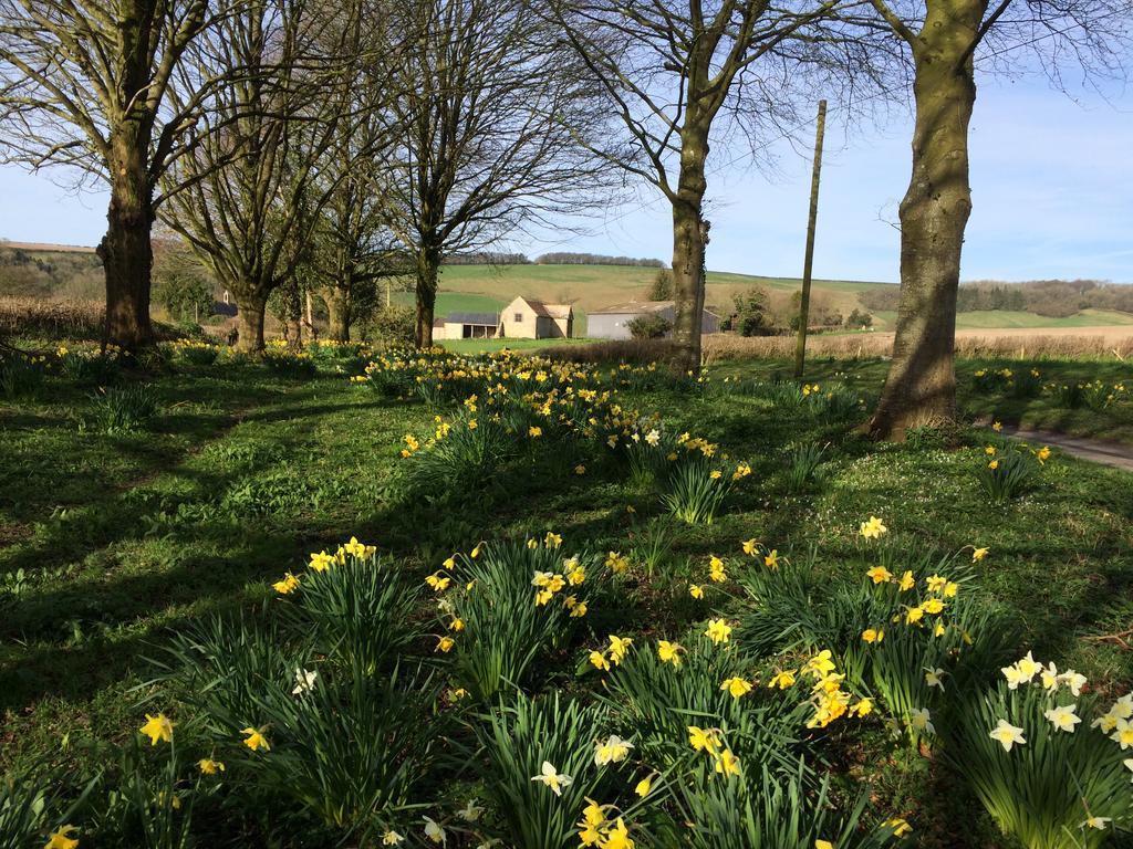 Ansty  Higher Melcombe Manor מראה חיצוני תמונה